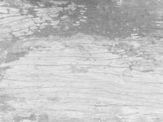 White wooden texture background in vintage style