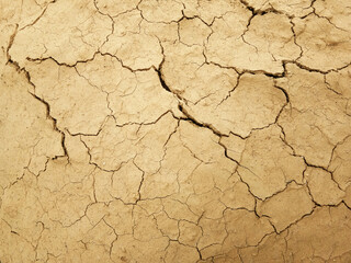 The ground has cracks in the top view for the background