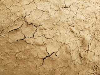 The ground has cracks in the top view for the background