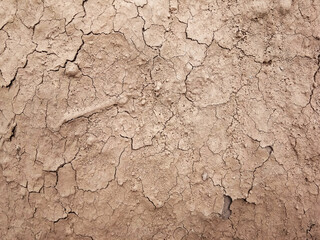The ground has cracks in the top view for the background