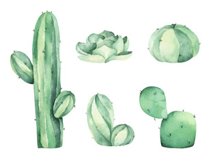 Fototapeta premium Set of Cactus. Isolated on white background. Watercolor illustration.
