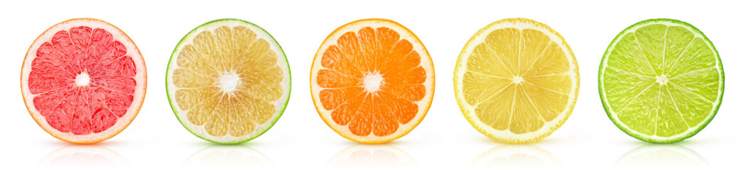 Citrus fruits slices (grapefruits, orange, lemon, lime) in a row isolated on white background