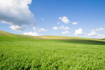 empty field in hill at summer day