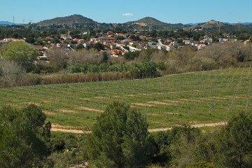 Fototapeta na wymiar View of La Presa from La Lloma De Betxi in Parc Natural de Turia at La Vallesa near Valencia,Spain,Europe 