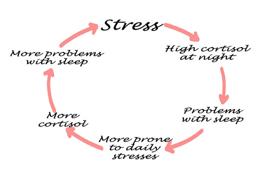 Cycle of sleep disruption and stress