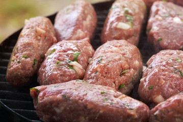 Raw minced cutlet, ground beef, lamb. Grilled kebab cutlets. Green grass background Top view. copy space