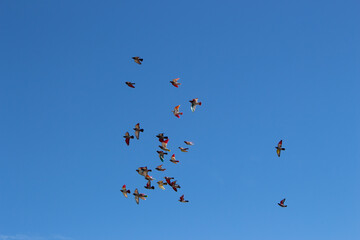 Vega Baja del Segura - Torrevieja - Cielos espectaculares y paisajes