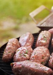Raw minced cutlet, ground beef, lamb. Grilled kebab cutlets. Green grass background Top view. copy space