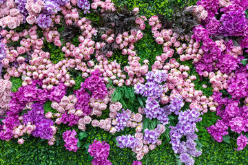 Flowers pink roses on green clover wall background