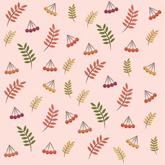Big autumn set on a light pink background. Rowan (berry) in different shades of red and rowan leaves in autumn colors. Flat design. All objects are isolated.