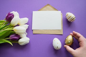 Easter greetings: colored eggs, white tulips. Letter with copy space, purple background. Hand holds golden Easter egg