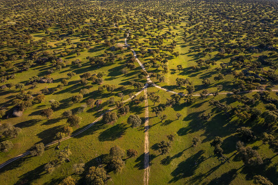 Landscape in Dehesa de la Luz. Extremadura. Spain.