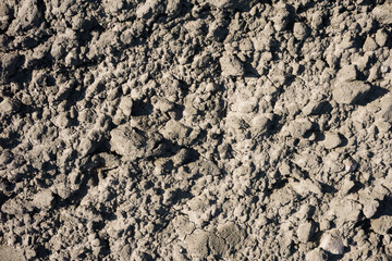 Agriculture background. Harvesting field texture. Sand on the groung closeup pattern. Earth landscape. Country farmland sunny day background.