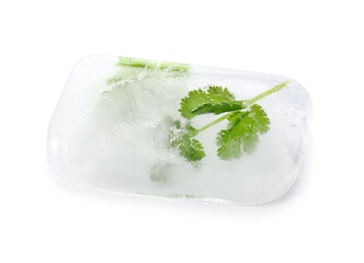 Fresh parsley frozen in ice on white background