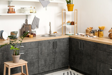 Wooden counters with sink, houseplant and different cookware near white wall