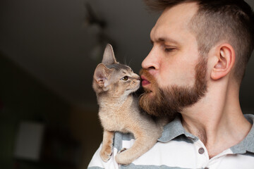 Close up of bearded man kissing his grey cat sitting on his shoulder. Cute Abyssinian kitten of...