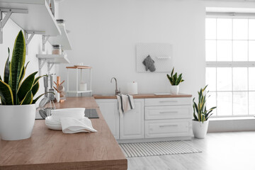 Stack of plates, towel and houseplant on counter near white wall in kitchen