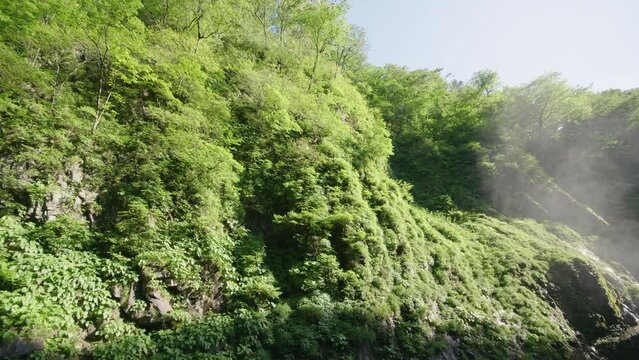 Akiu Water falls in Sendai Miyagi Japan 初夏の秋保大滝     
 May 28 2020 
