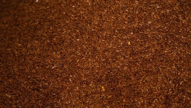 Sorting of wheat and packaging of cereals
