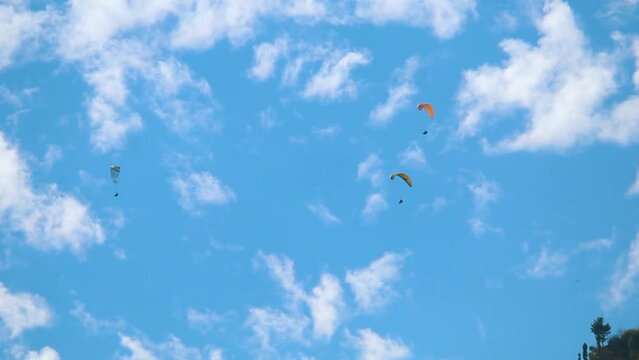Group of tourists paragliding on parachute in front of the clouds above the mountain at Manali in Himachal Pradesh, India. Tourists lifting off from the mountain for paragliding experience. 