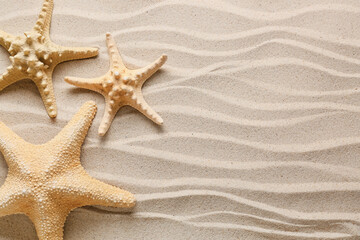 Fototapeta na wymiar Different starfishes on sea beach sand