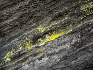 Schwarzes Horn in der Sächsischen Schweiz - Felswand, Flechte, Struktur