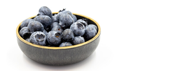 Blueberry isolated on white background. Blueberries in the bowl. Close-up. Copy space. Space for text