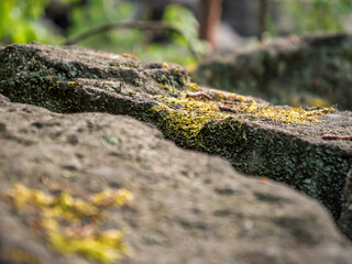 Bielatal in der Sächsischen Schweiz - Moos am Daxenstein