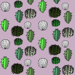 Vector seamless half-drop pattern, with cactus