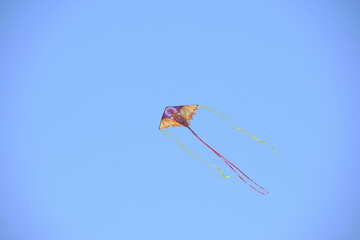 Kite in the sky