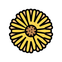 calendula flower bud color icon vector. calendula flower bud sign. isolated symbol illustration