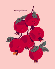 Branch with fruits and leaves of pomegranate. Vector drawing of tropical plants. Graphic print for packaging design, food, home decor. - 499128296