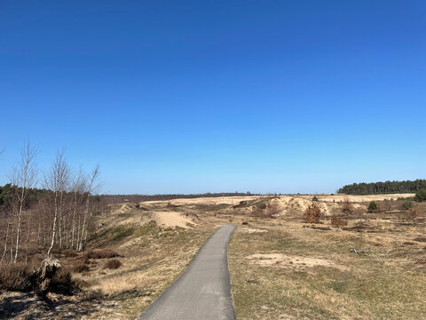 Bicycle Path Around Hoenderloo