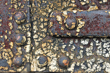 Close-up of lichen and moss growing on a rusting iron or steel riveted door on a historic fort in Sandy Hook NJ