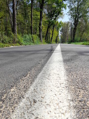 Strada asfaltata di campagna in primavera