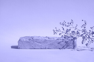 Stone Podium for promotion on violet Background. Natural pedestal. One stone podium with floral shadow. Beauty product mockup. Scene to show products. Showcase, display case. Front View