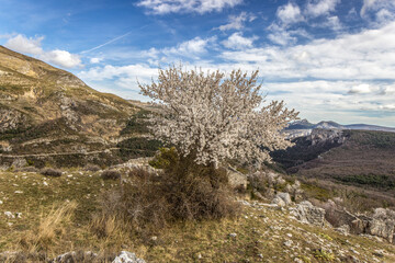 Verdon-Chateauneuf