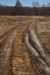 Spring landscape. Dirt on a country road.