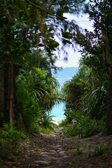 path to a hidden beach on Okinawa