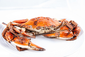 Close up of a just cooked Callinectes sapidus commonly called  Jaiba in Colombia isolated on white background.
