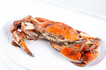 Close up of a just cooked Callinectes sapidus commonly called  Jaiba in Colombia isolated on white background.