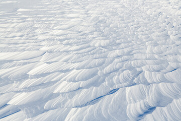 Obraz premium Snow texture. Wind sculpted patterns on snow surface. Wind in the tundra and in the mountains on the surface of the snow sculpts patterns and ridges (sastrugi). Arctic, Polar region. Winter background