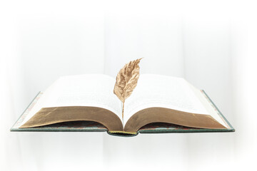 opened thick book levitating on white background, with a golden leaf