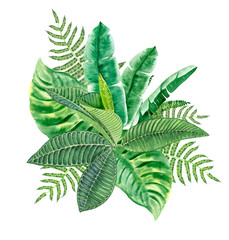 Tropical green leaves watercolor arrangement. Lush foliage jungle bouquet. Exotic design element for cards and wedding. Hawaiian hand drawn jungle style composition.	