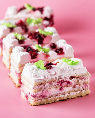 Piece of Biscuite Cake with Cream Tasty Dessert Pink Background