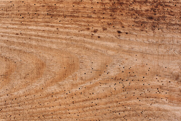 texture of sand