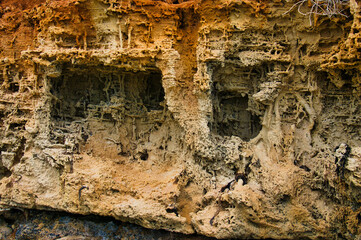 Mysterious erosion patterns in sandstone look like a fantasy illustration. Avoid Bay, Coffin Bay National Park, Eyre Peninsula, South Australia
