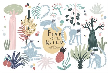 Cartoon character lemur, plant, tree, leaf, fruit handwritten quote find your wild. Vector doodle style illustrations objects set. Vector illustration © Milana