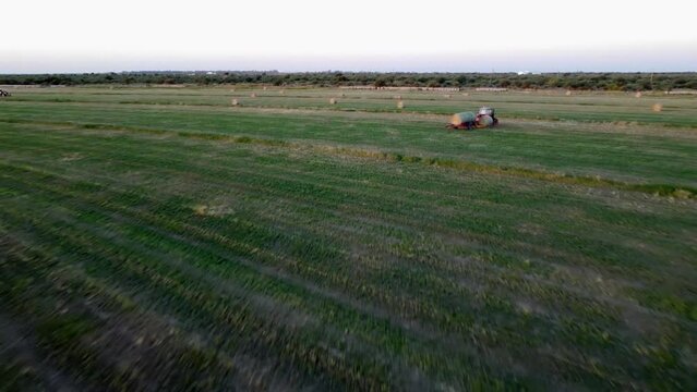 Cortadora, Rollo, campo, cosecha, maquinas, d&iacute;a, atardecer, alfalfa, tracktor, fardo, cosecha, FHD,  latino am&eacute;rica