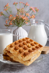 Sweet breakfast of Belgian waffles and a glass of milk on a grey background. Close-up